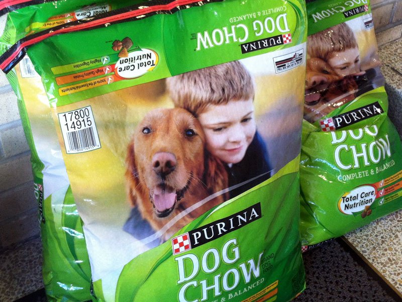 When To Change From Puppy Chow To Dog Food When To Change From Puppy Chow To Dog Food