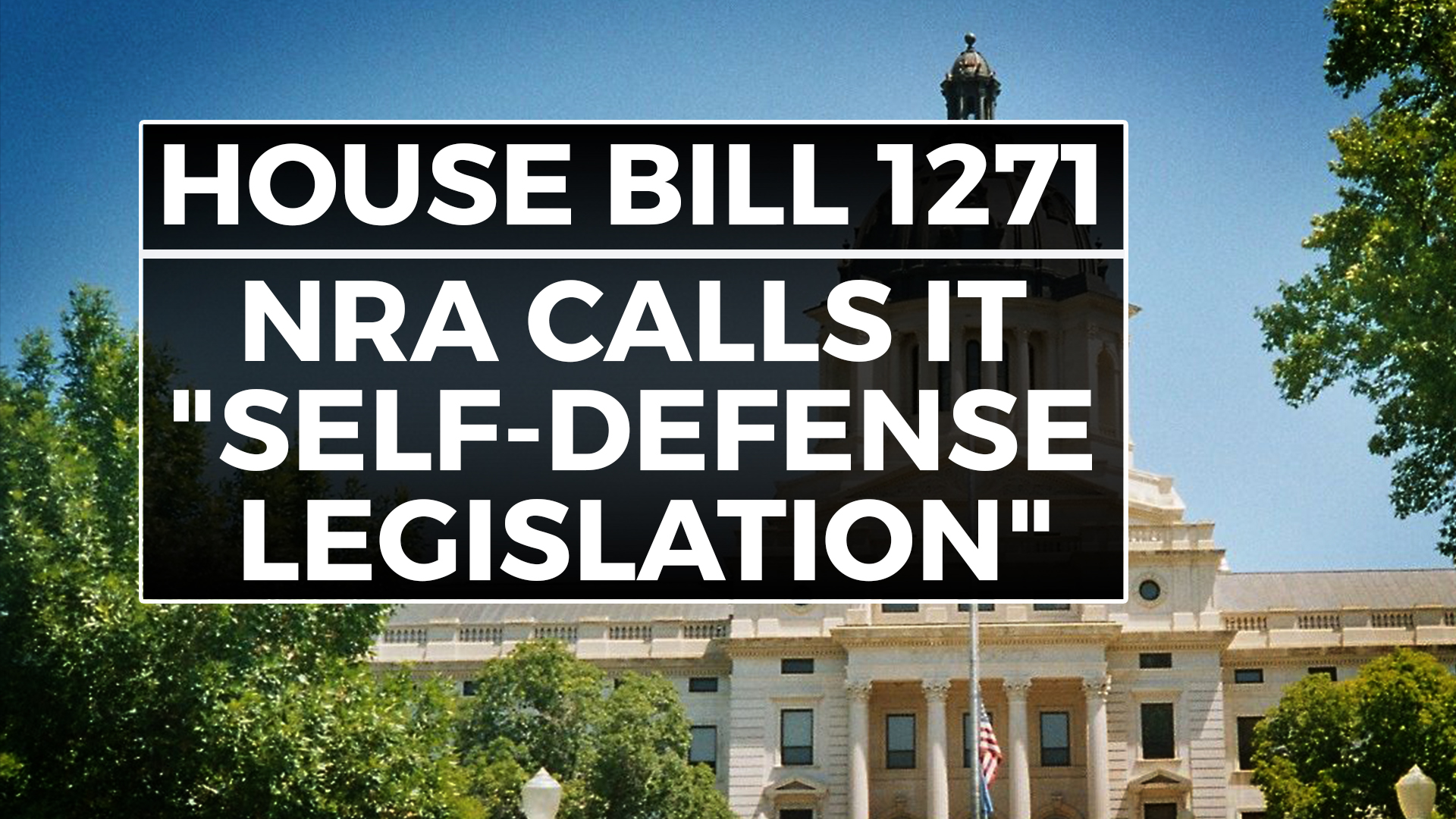 180215_Gun_Laws_Slide_002 180215_Gun_Laws_Slide_002