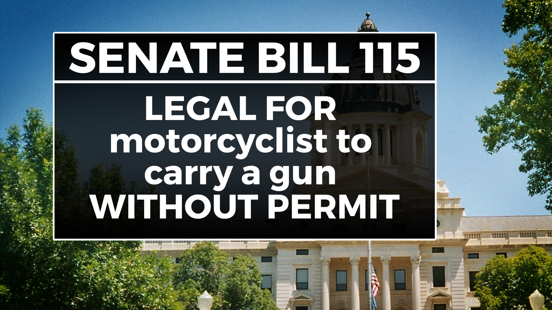 180215_Gun_Laws_Slide_004 180215_Gun_Laws_Slide_004