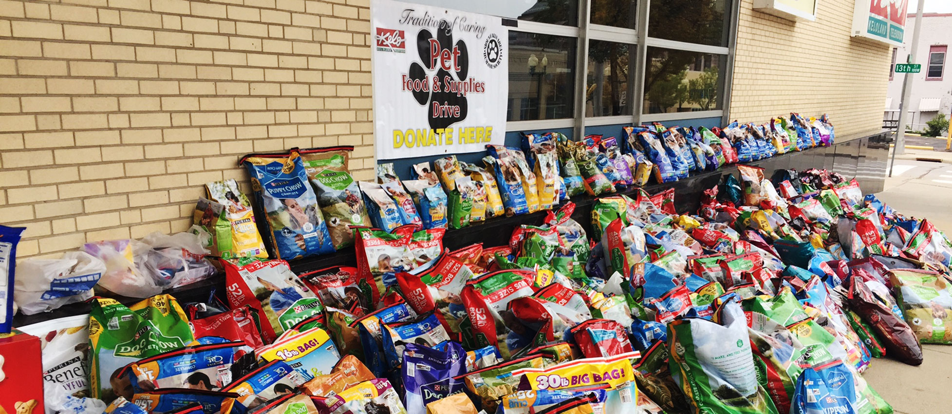 keloland puppies keloland viewers donate 7 874 pounds of food keloland puppies keloland viewers donate 7 874 pounds of food