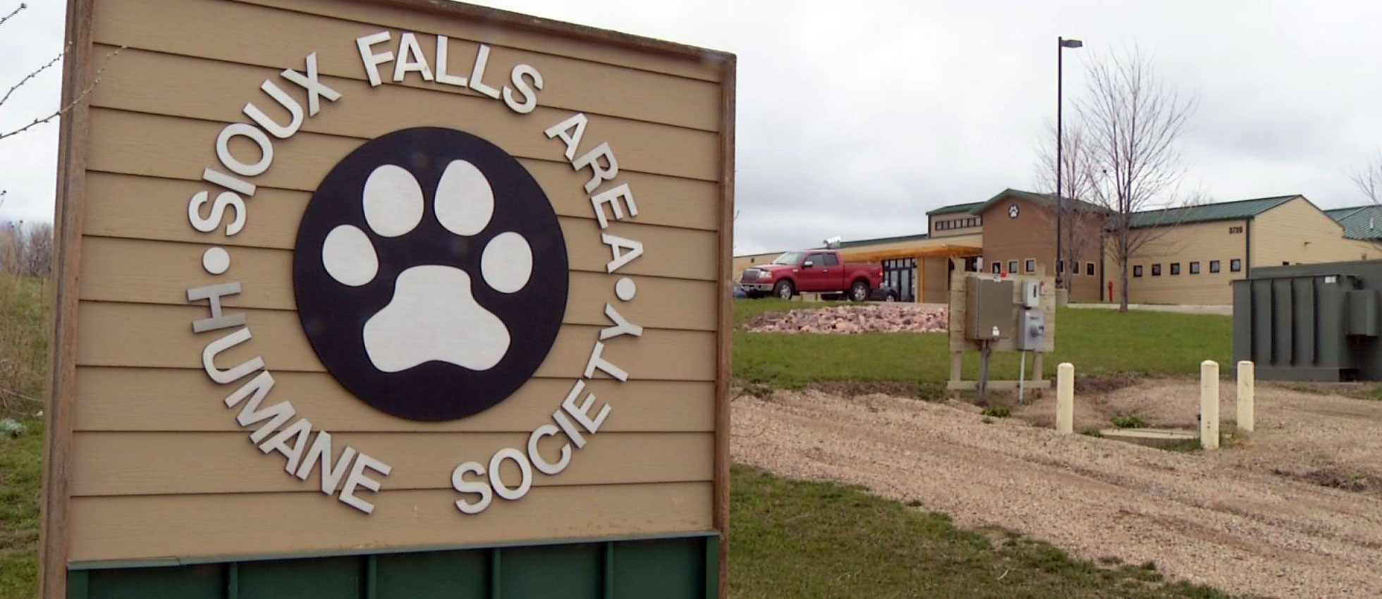 sioux falls humane society dogs sioux falls area humane society adopts new visitation policy sioux falls humane society dogs sioux falls area humane society adopts new visitation policy