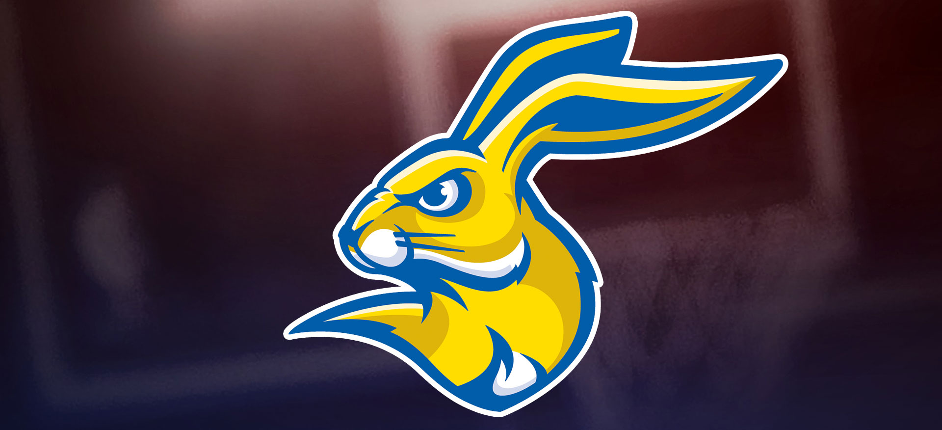 SDSU South Dakota State University Jackrabbits SDSU Jackrabbits SDSU Jacks