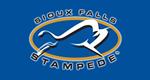 Stampede Select 18 Players During Phase II Of USHL Draft